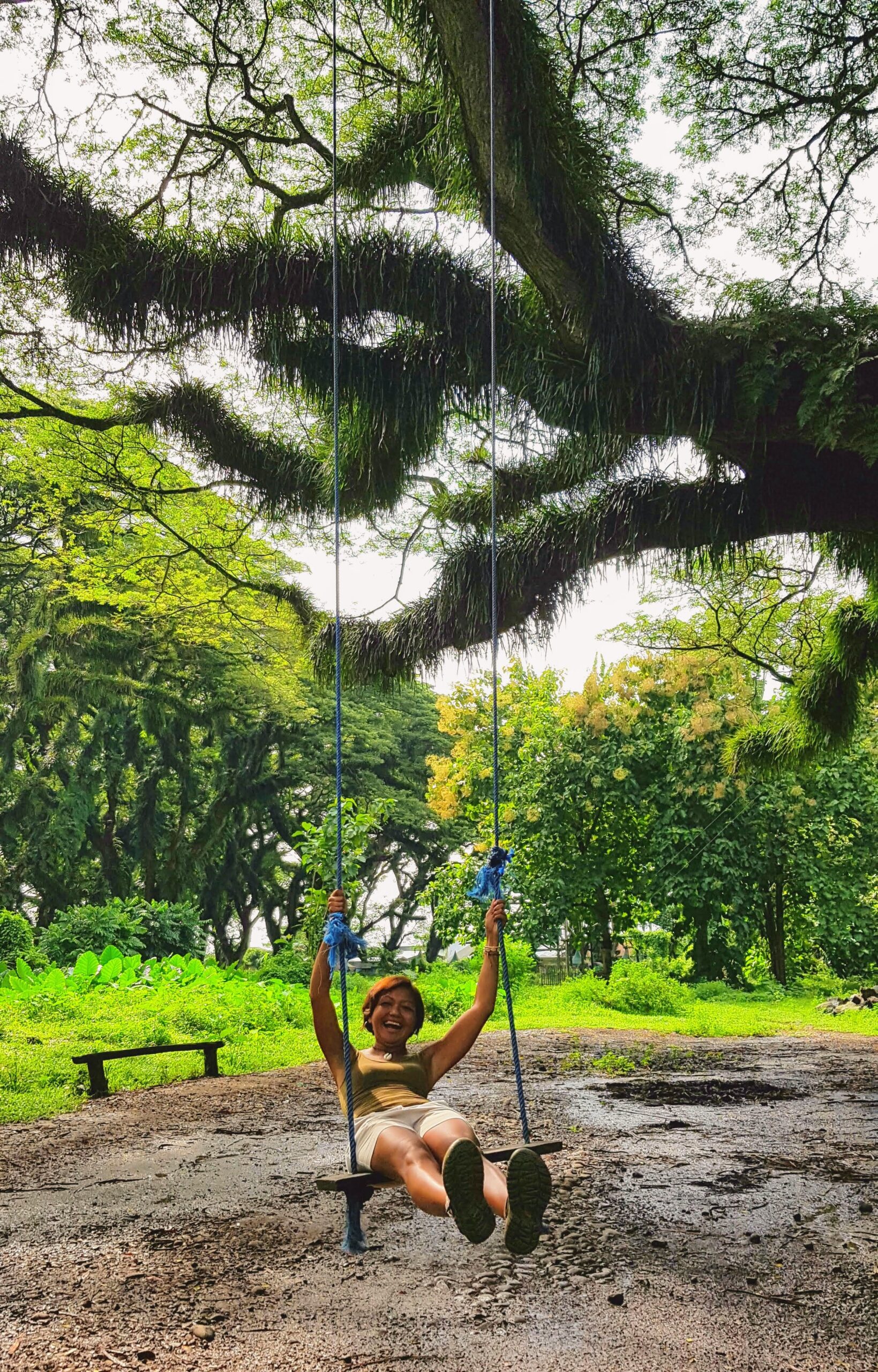 Travel writer Shannim on a swing underneath ncient trembesi trees creating a magical landscape at De Djawatan Park, Banyuwangi.