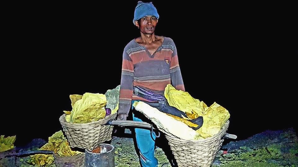 Sulphur miner climbing from Ijen Crater with baskets of sulphur in Banyuwangi, Indonesia.