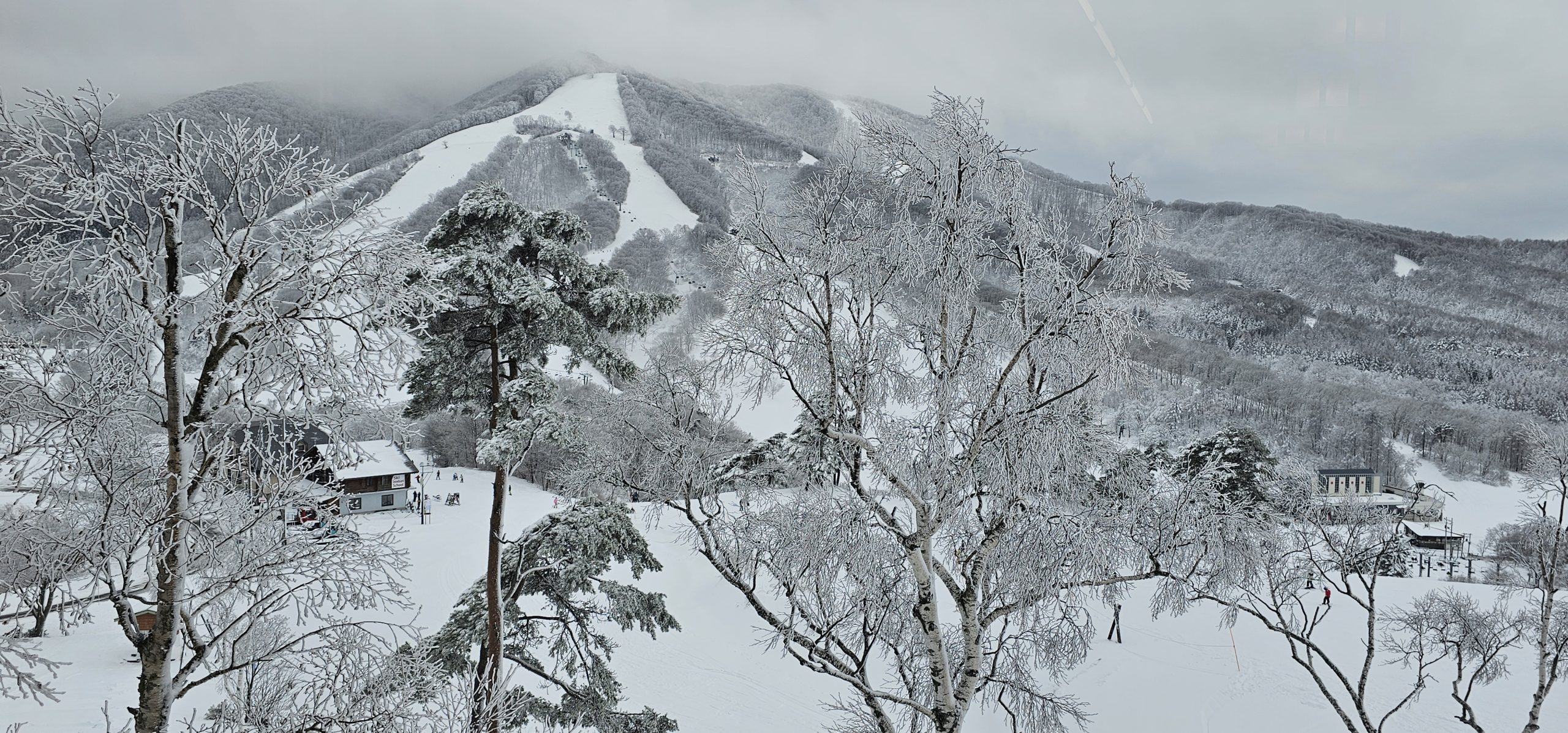 Japan Earthquake : A Scary New Year’s Adventure
