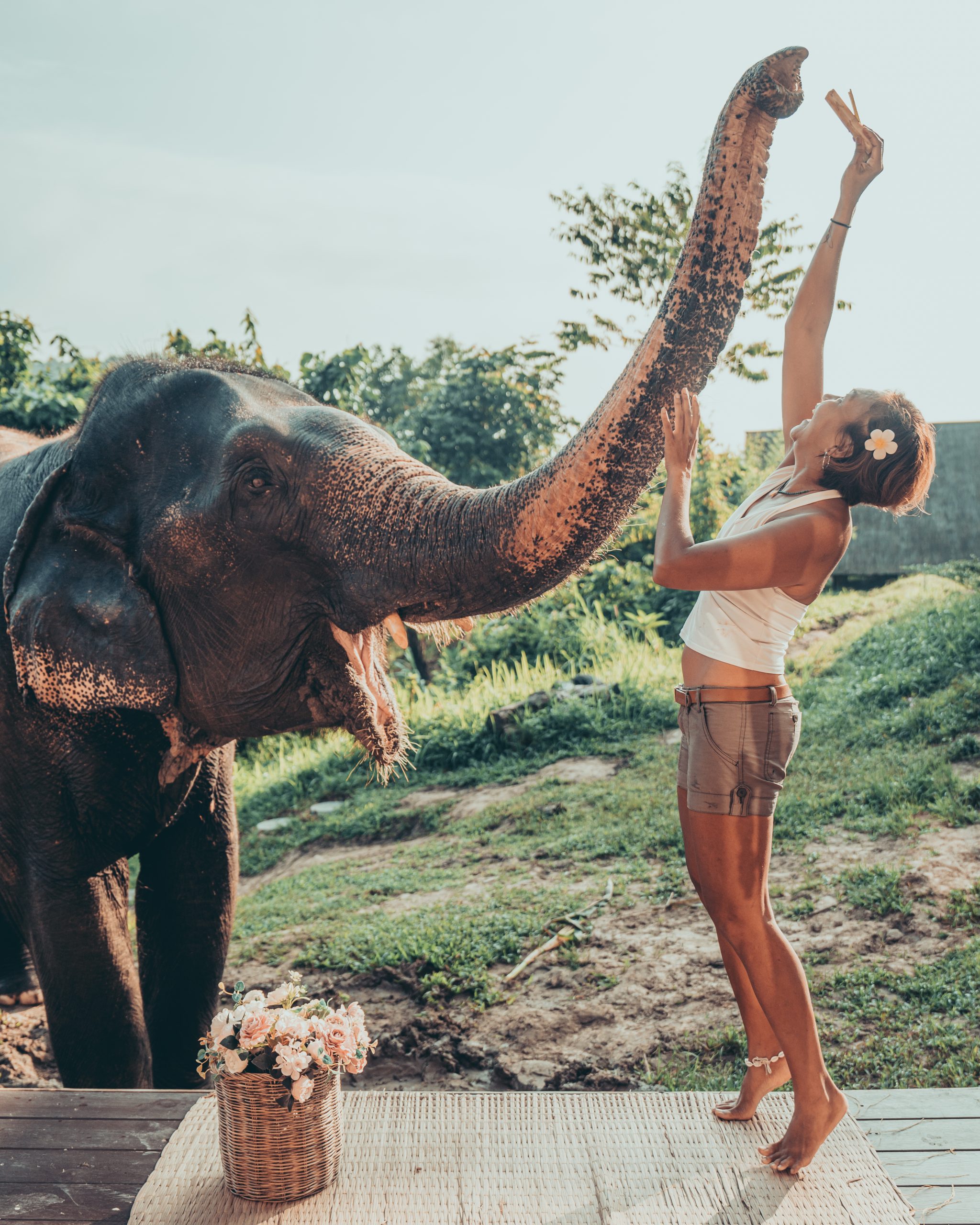 Chiang Mai : A Beautiful Surprise