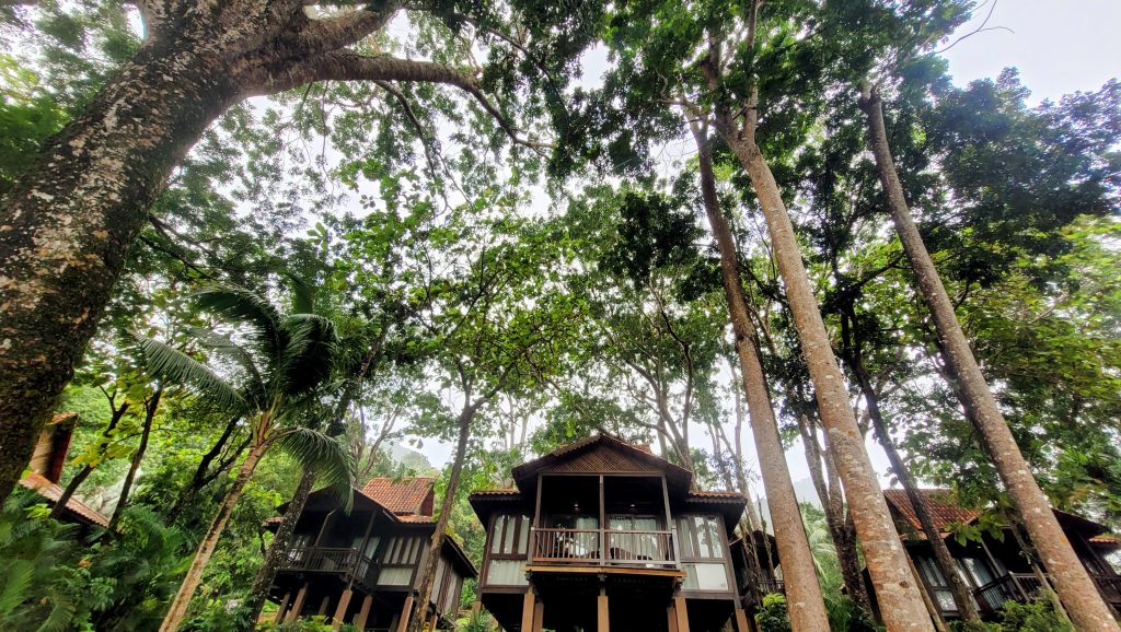 Wooden chalets surrounded by rainforests and untouched nature at Berjaya Langkawi Resort