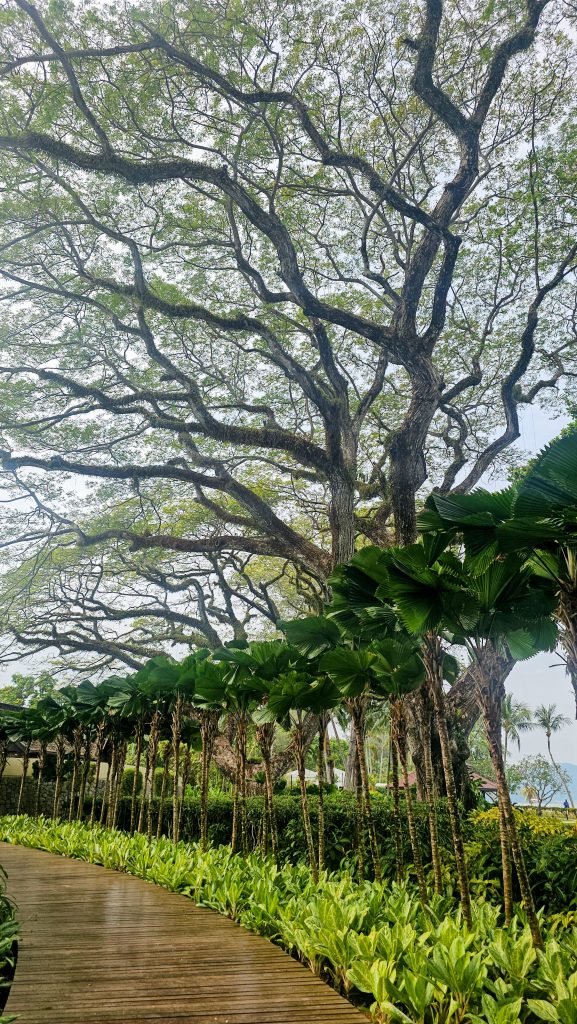 Garden walkway leading to CHI, The Spa at Shangri-La Rasa Sayang, Batu Ferringhi, Penang