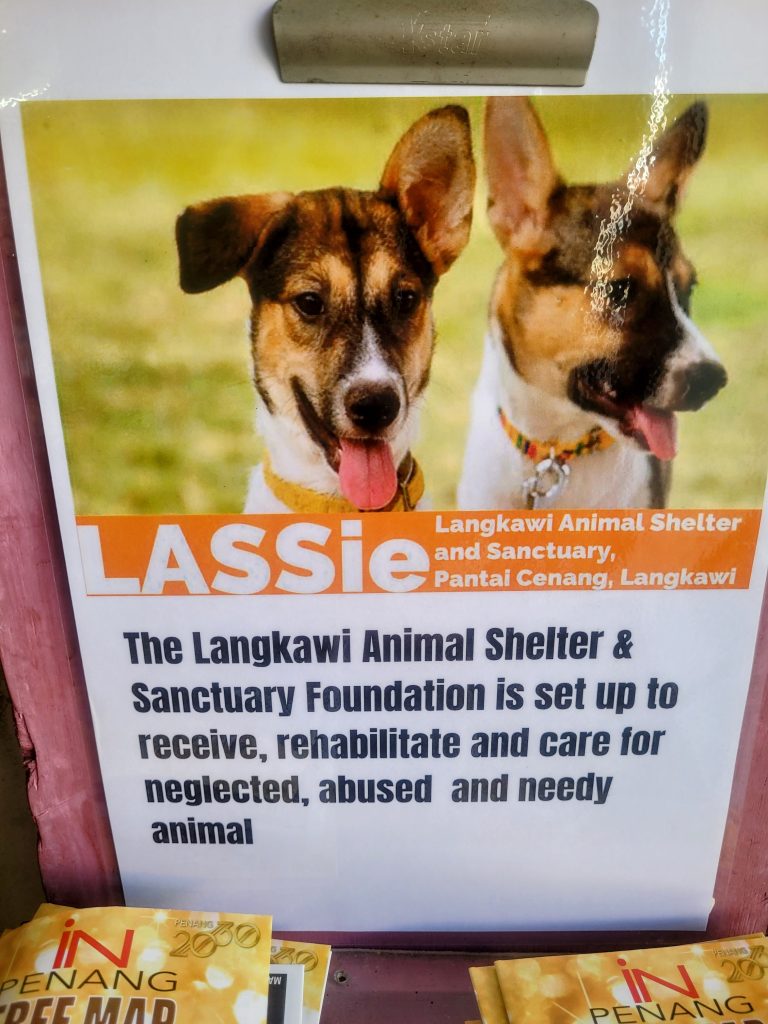 LASSie Langkawi Animal Shelter and Sanctuary poster at Bon Ton Resort supporting stray cats and dogs