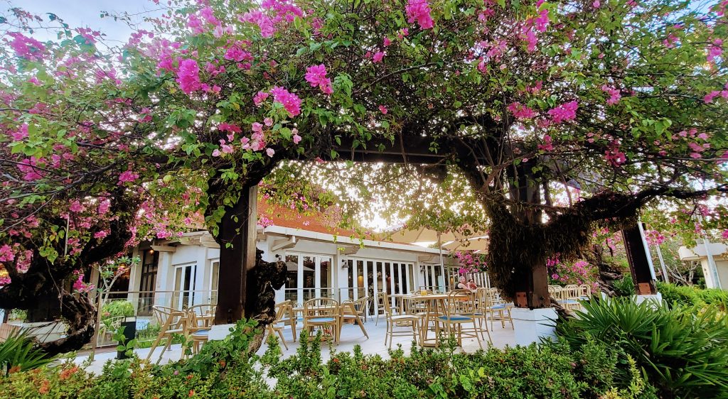 Outdoor seating at Spice Market restaurant Pelangi Beach Resort & Spa Langkawi surrounded by bougainvillea
