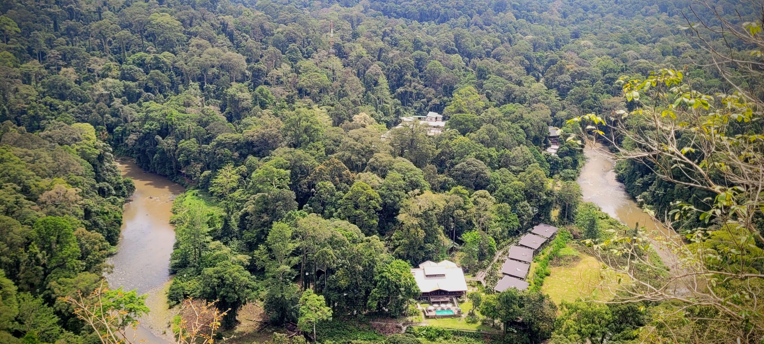 Borneo Rainforest Lodge Danum Valley: Older Than the Amazon, Wilder Than You Imagine