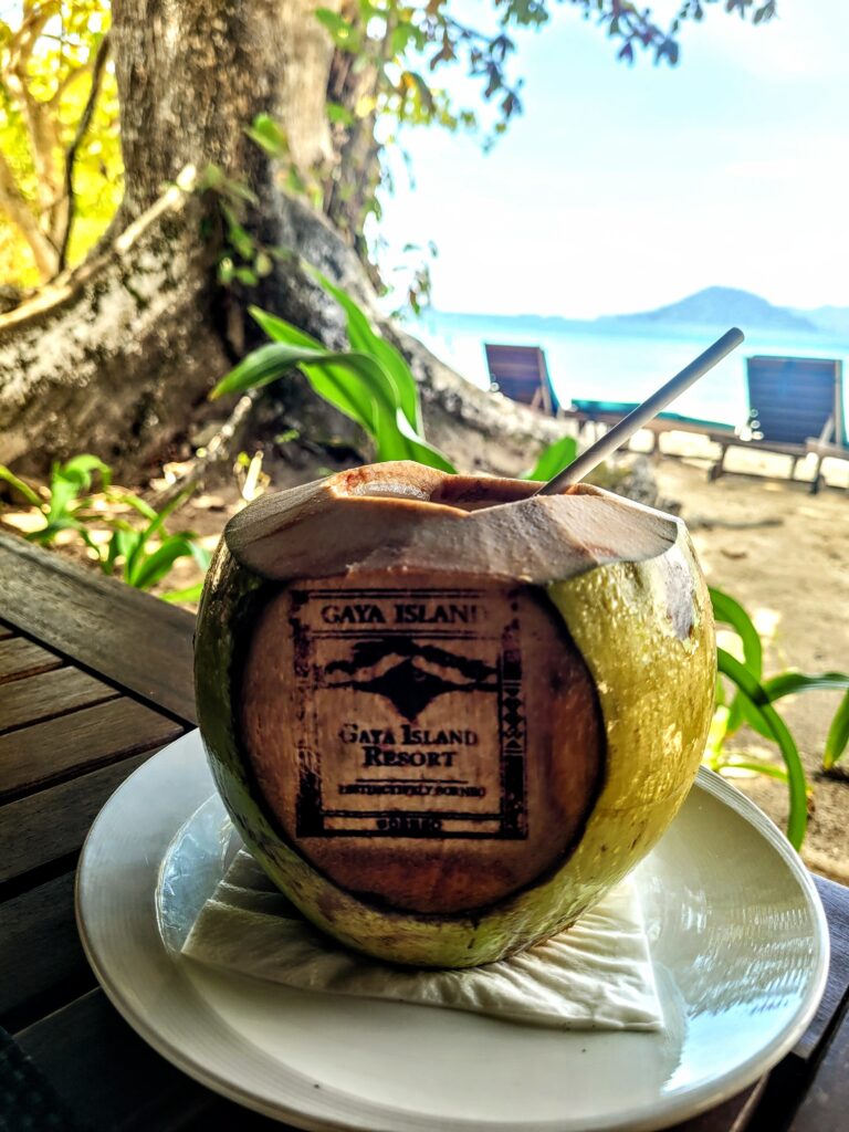 Fresh coconut drink at Tavajun Bay Gaya Island Resort Sabah
