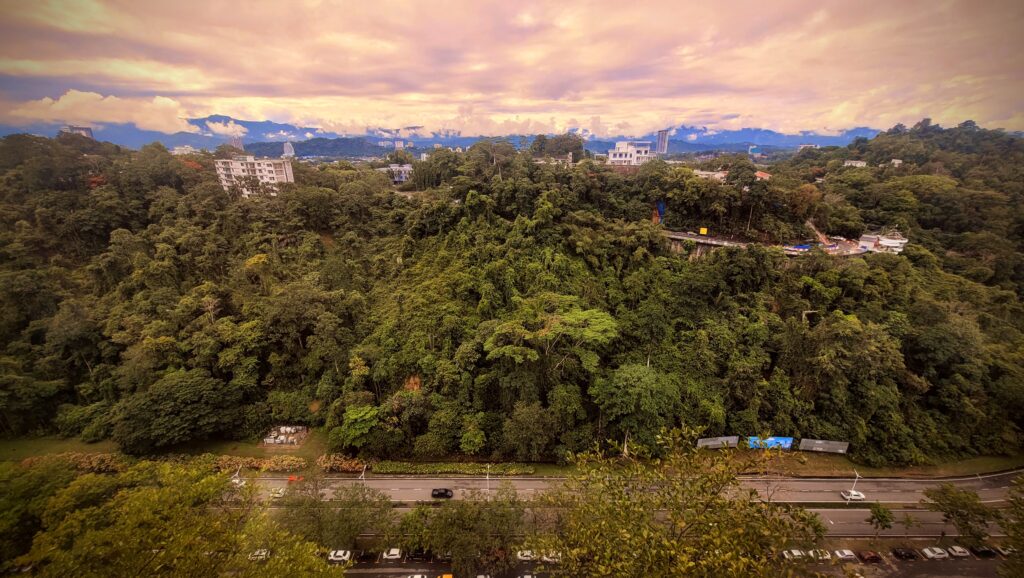 Rainforest view from room balcony at Hyatt Centric Kota Kinabalu Sabah