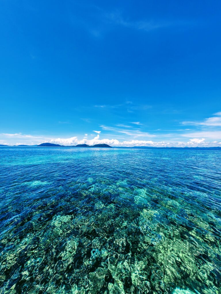 Blue Rings Reef Sabah, one of the world's only known double ringed marine sinkholes