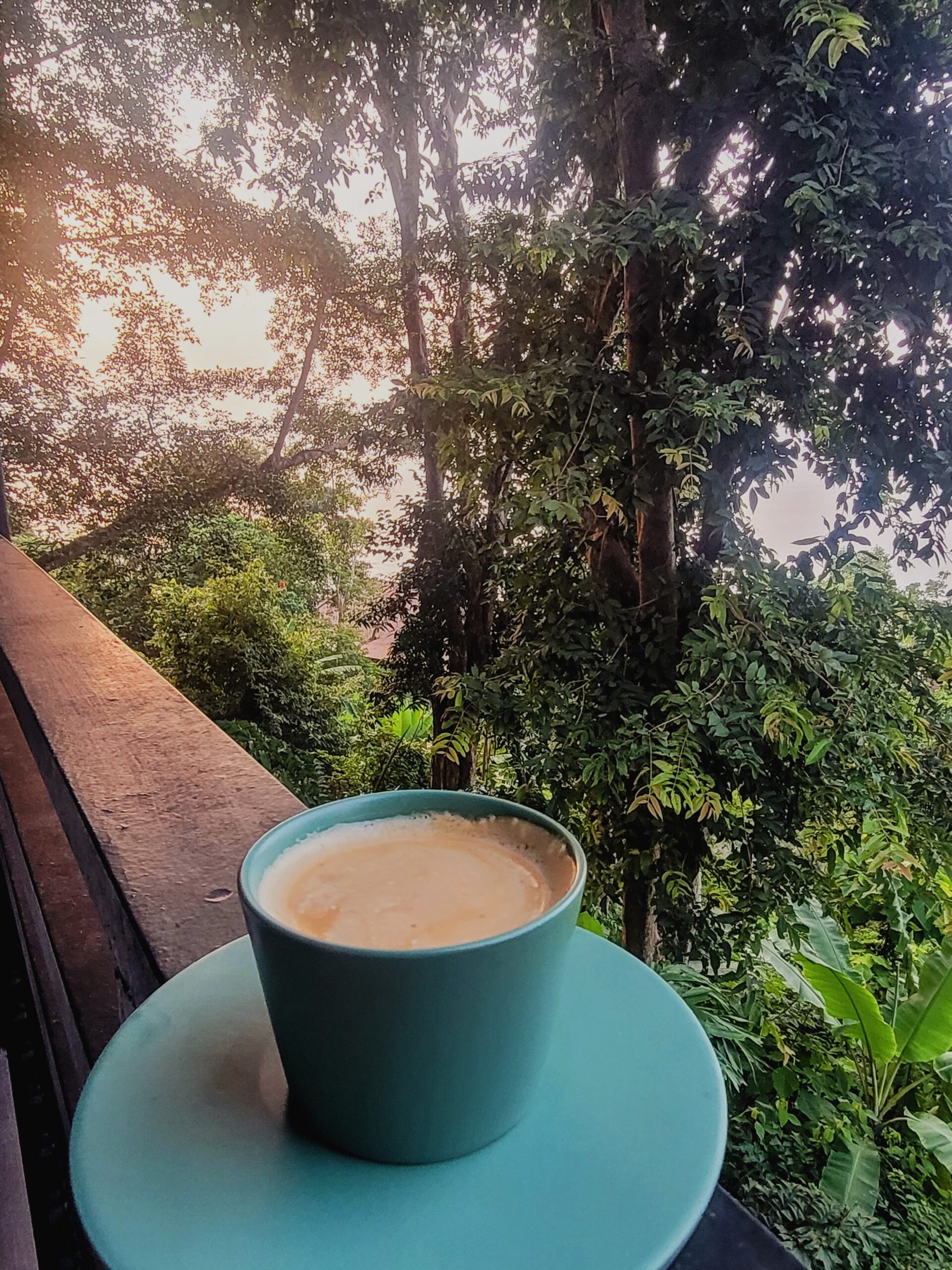 Morning coffee overlooking the rainforest at The Ritz-Carlton, Langkawi